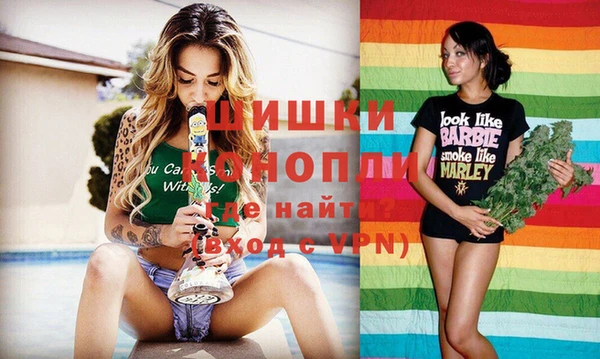 МДПВ Бронницы