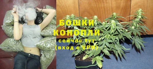 spice Бугульма