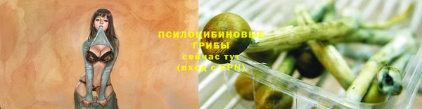 МДПВ Бронницы