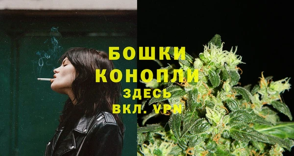МДПВ Бронницы
