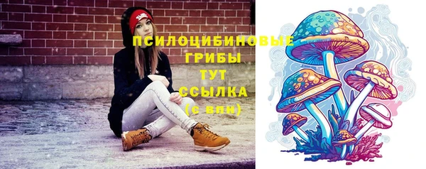 spice Бугульма