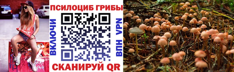 где можно купить наркотик  Черноголовка  ссылка на мегу рабочий сайт  Псилоцибиновые грибы прущие грибы 