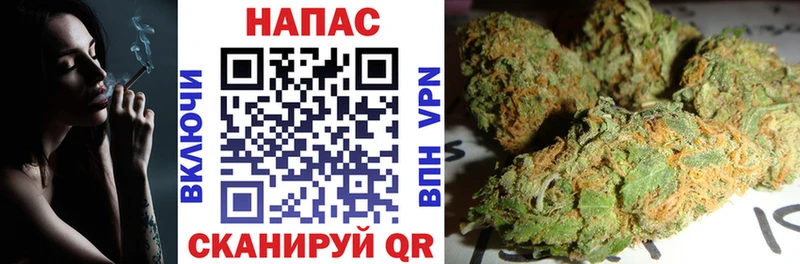 Бошки Шишки план  Черноголовка 